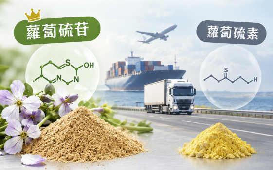 蘿蔔硫苷原料的保存與運輸資訊